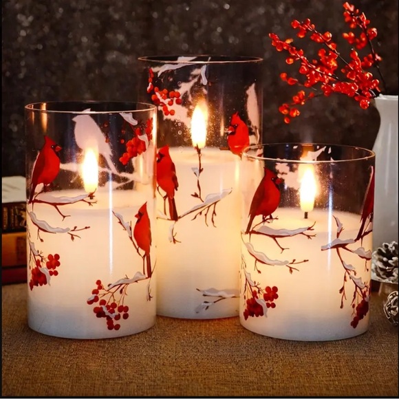 Other - 6 piece  set Red Cardinal Candles, throw and matching bracelet bundle.
